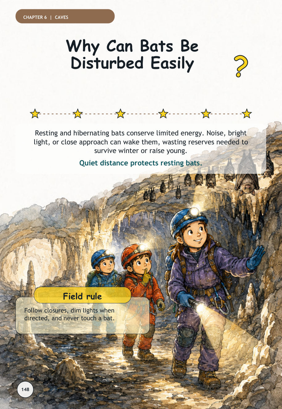 Sample page: Why can bats be disturbed easily?