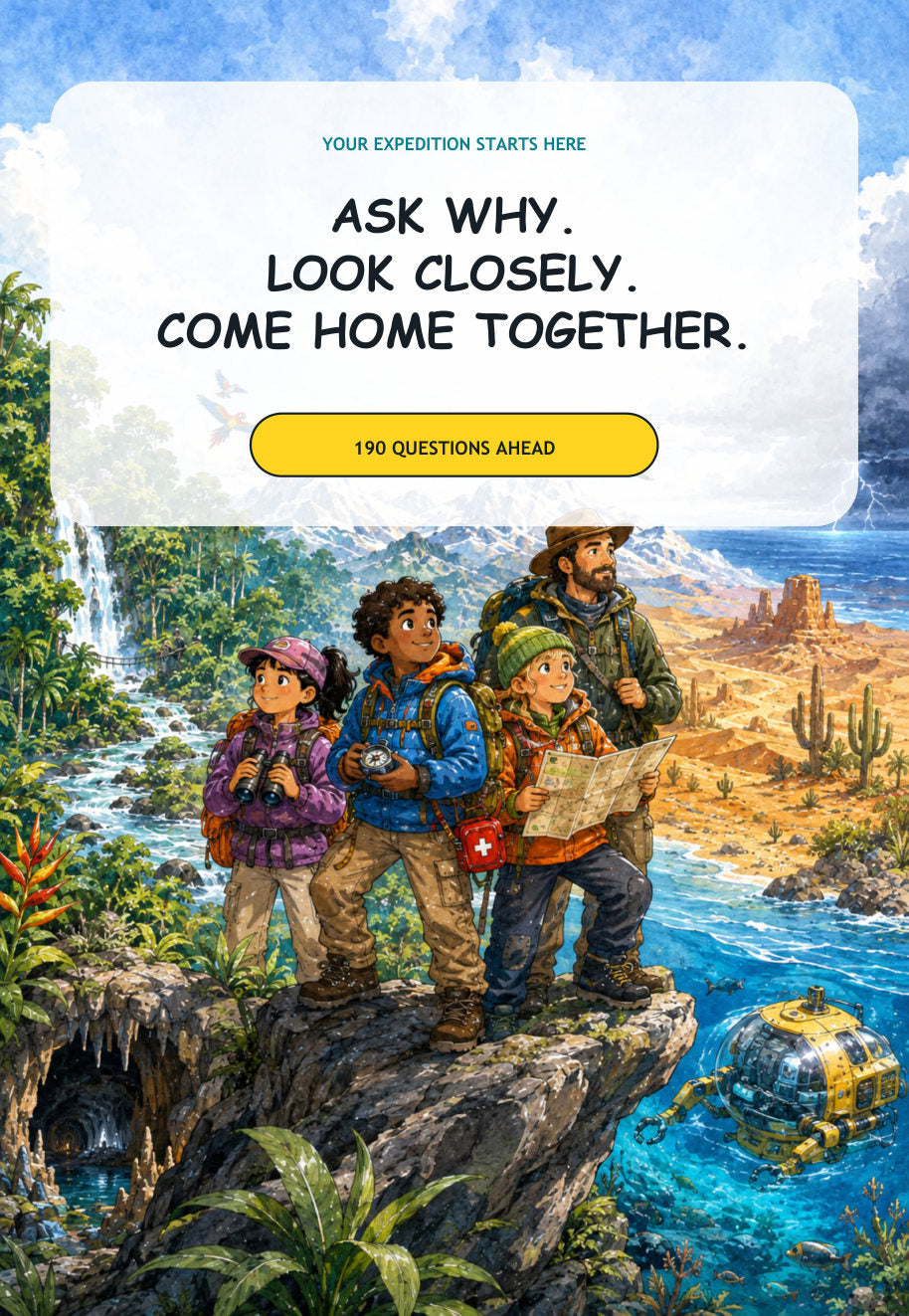 Opening page